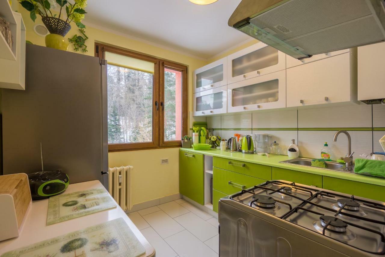Apartament Sniezna Sowa Шклярска-Поремба Экстерьер фото